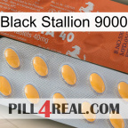 Black Stallion 9000 43
